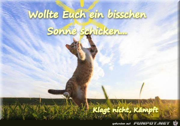 Wollte euch Wollte euch