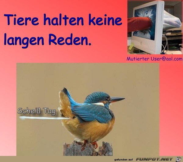 Tiere Tiere