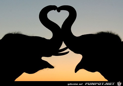 Love Love