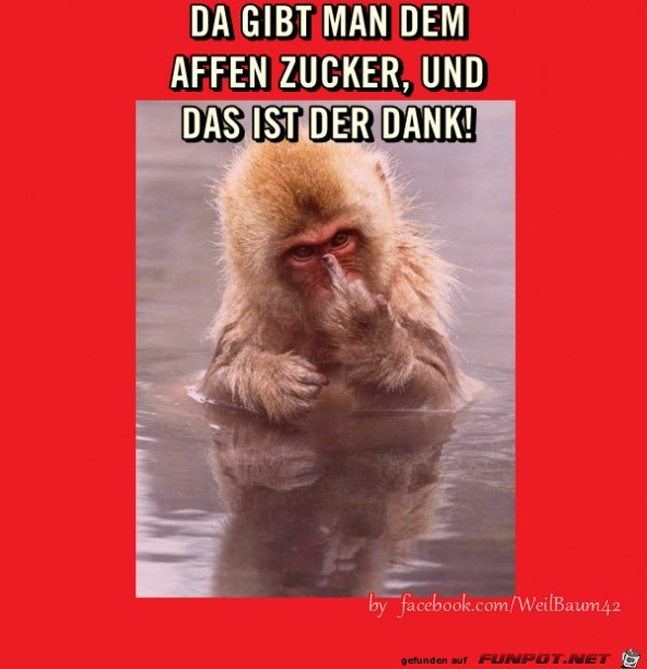 Da gibt man Da gibt man
