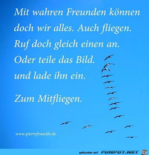 Mitfliegen