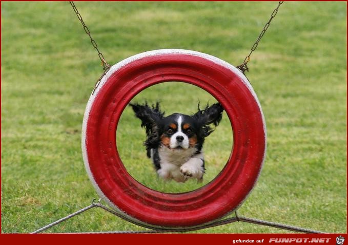 sportlich sportlich