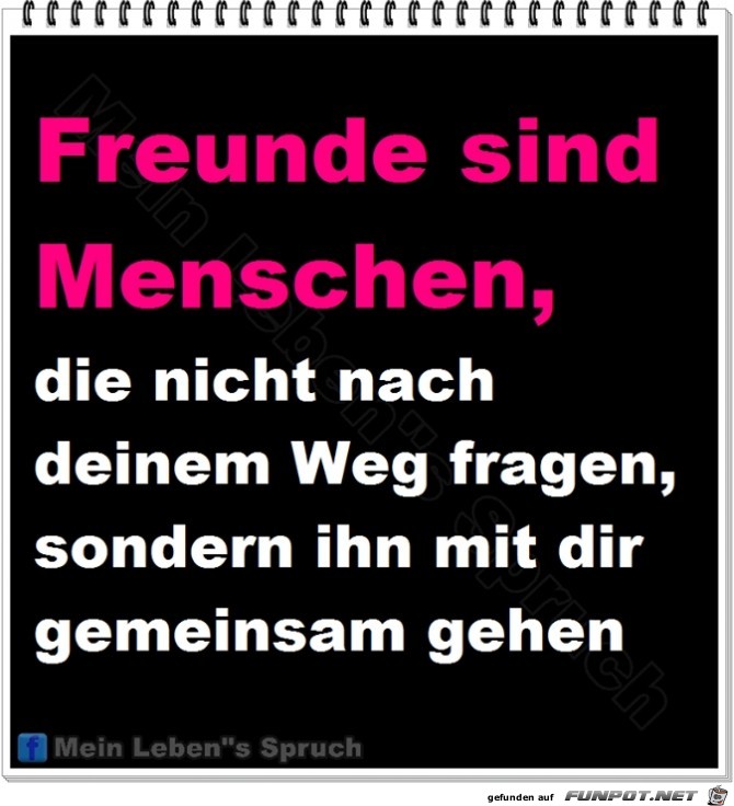 Freunde sind