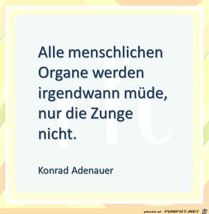 alle menschlichen organe alle menschlichen organe