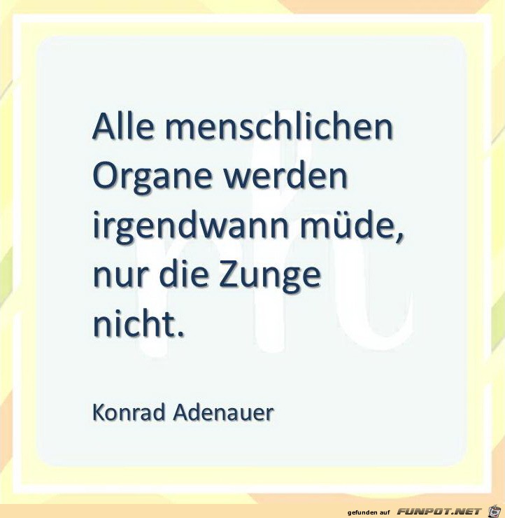 alle menschlichen organe