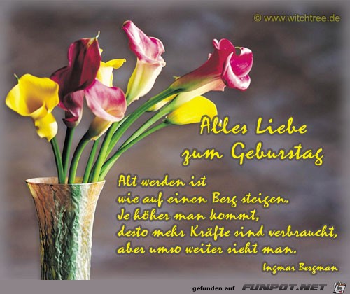 alles Liebe alles Liebe