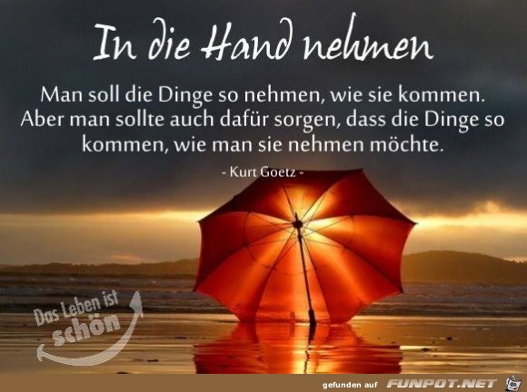 in die Hand nehmen