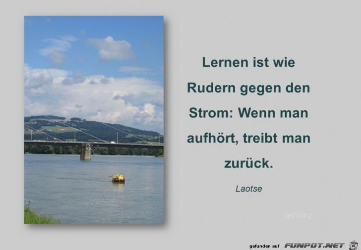 lernen ist wie rudern lernen ist wie rudern
