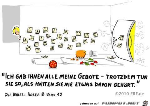 hosea 8 12 hosea 8 12