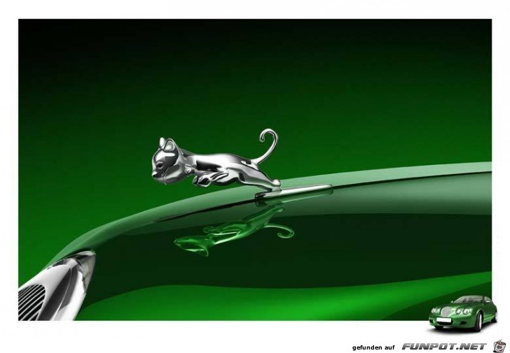 jaguarbaby jaguarbaby