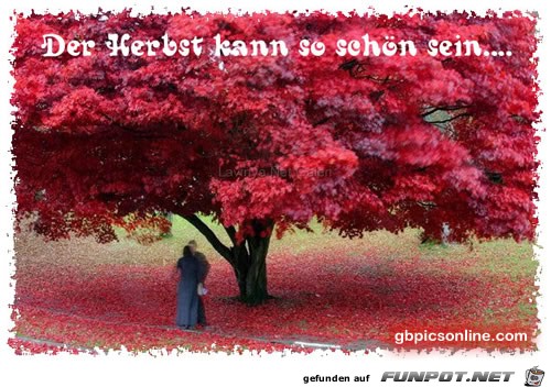herbst4 herbst4