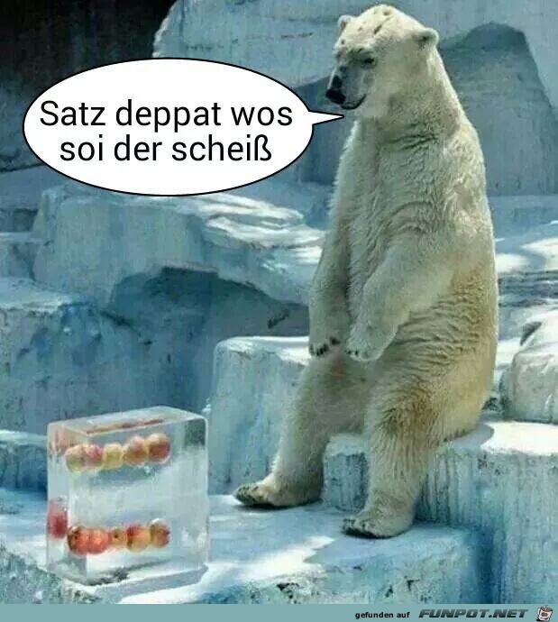 Satz deppat Satz deppat