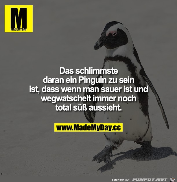 Das schlimmste