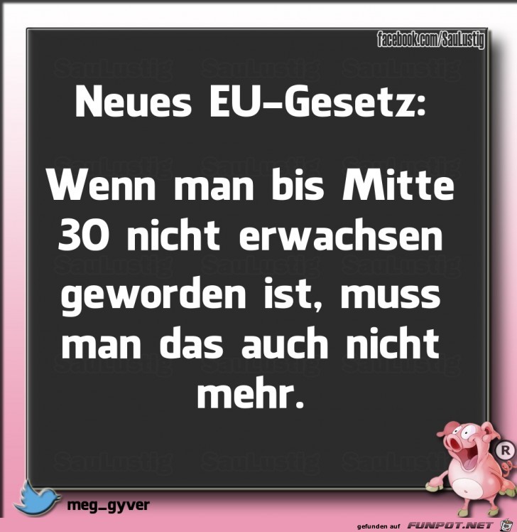 Neues EU Gesetz