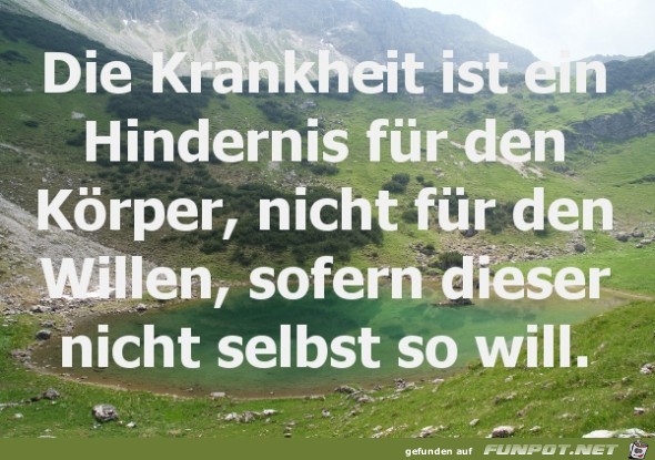 spruch-die-krankheit