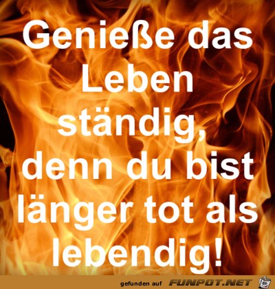 geniesse das leben 