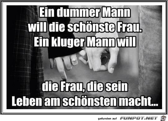 Ein dummer