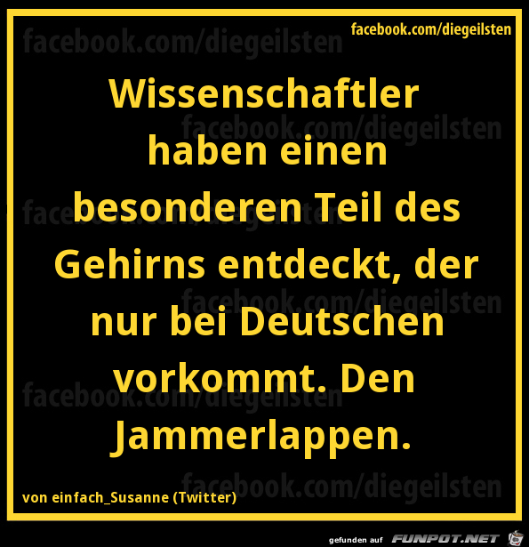 diegeilsten Jammerlappen diegeilsten Jammerlappen