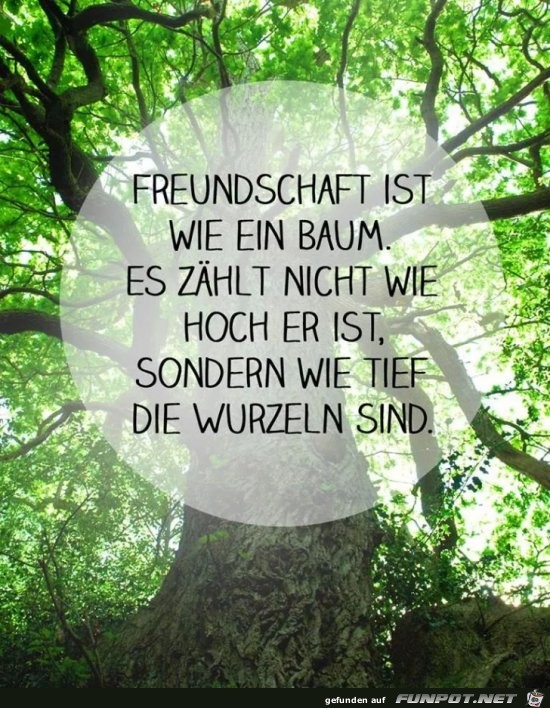 Freundschaft 6