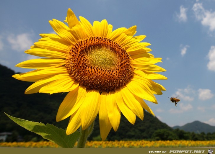 Bilder aus aller Welt 17 Bilder aus aller Welt 17