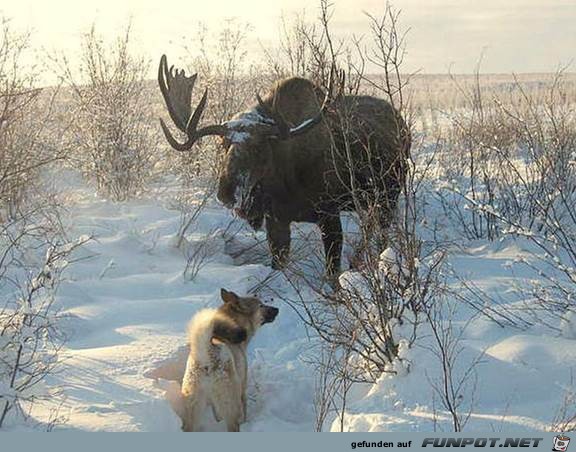 image010 image010