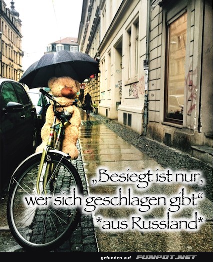 10 schöne Sprüche und Lebensweisheiten aus... 10 schöne Sprüche und Lebensweisheiten aus...