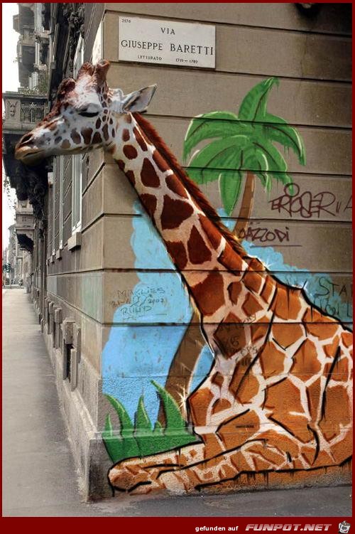 Girafitti