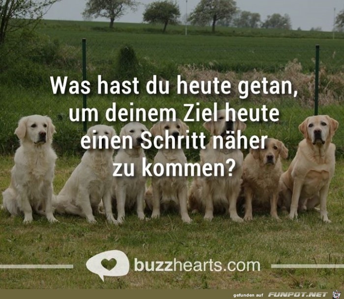 ziel 5 ziel 5