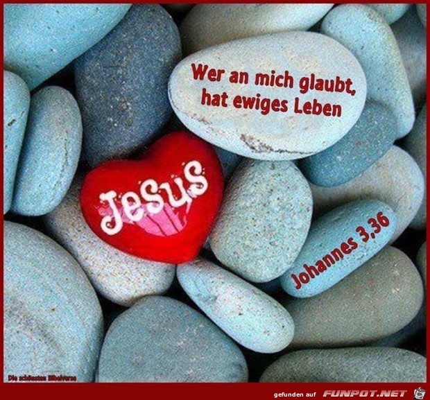 Joh 3 36 Joh 3 36