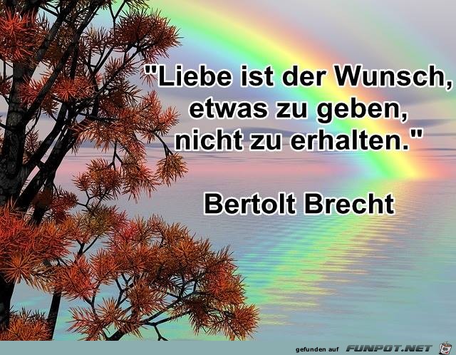Liebe ist Liebe ist