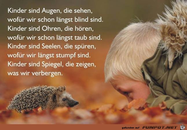 Kinder sind Augen