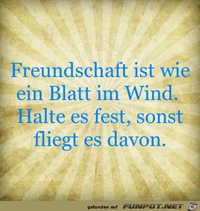 wie ein blatt im wind 