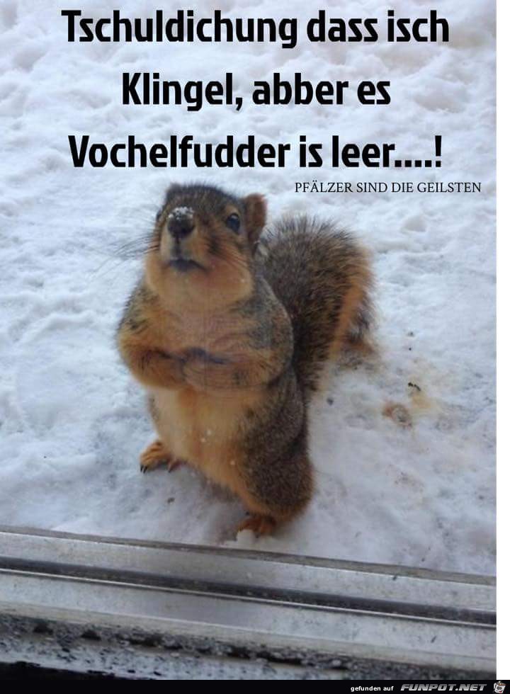 entschuldigung entschuldigung