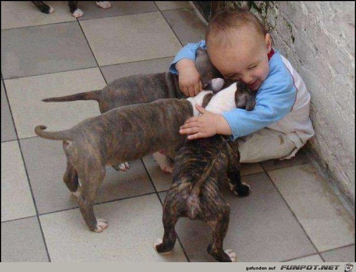 so lieb so lieb