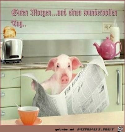 guten morgen 4 guten morgen 4