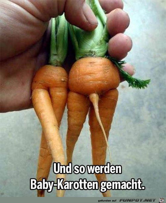 Baby-Karotten Baby-Karotten