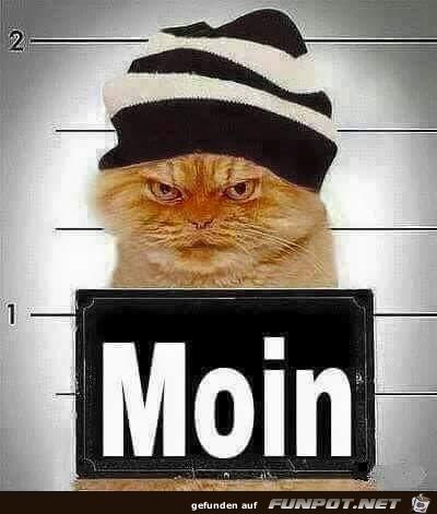 Moin