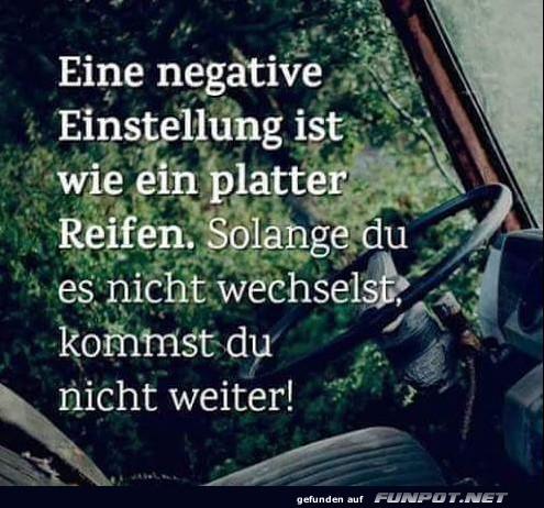 10 schne Sprche und Lebensweisheiten aus...