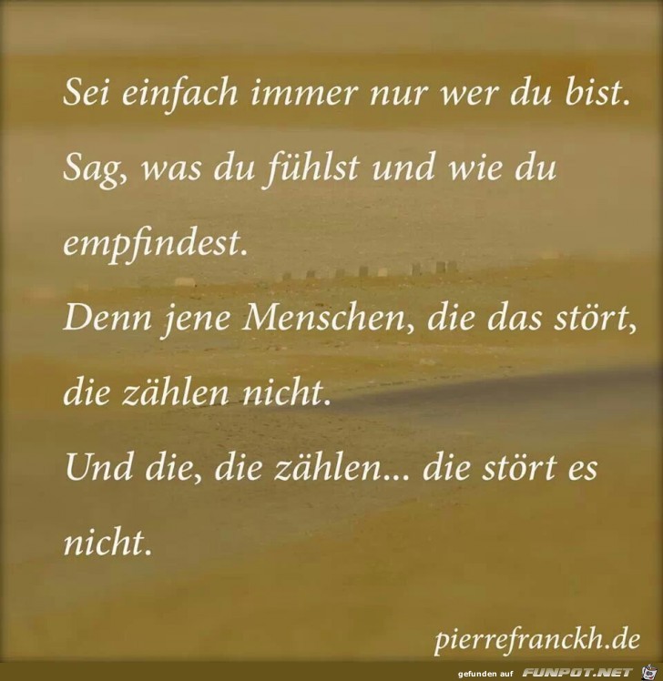 die stoert es nicht die stoert es nicht