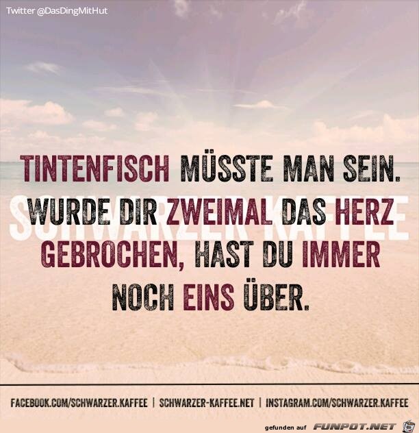 Tintenfisch Tintenfisch