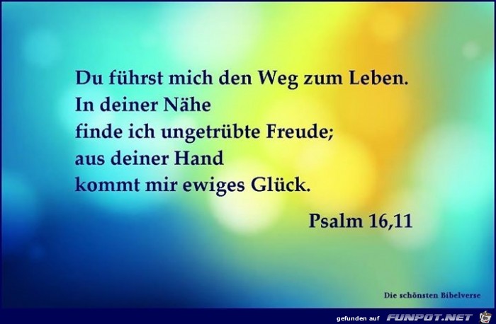 Psalm 16 11