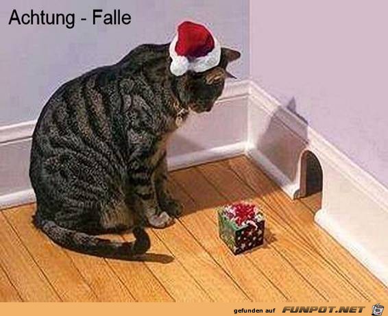 Falle Falle