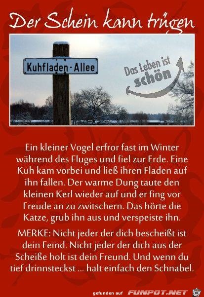 der schein kann truegen der schein kann truegen