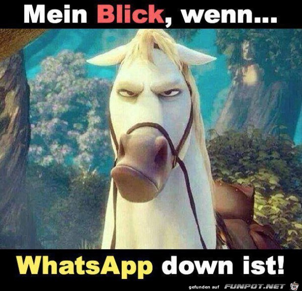 WhattsApp WhattsApp