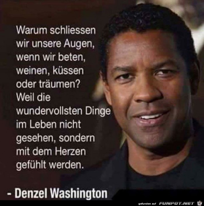 warum warum