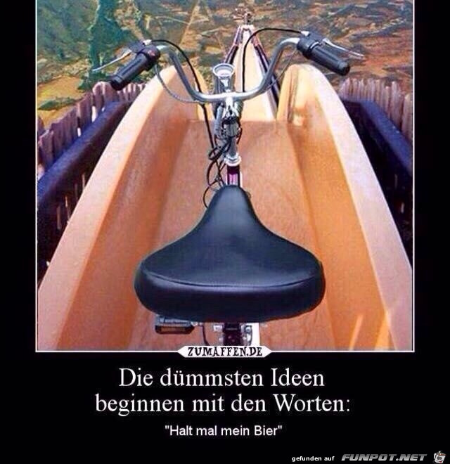 die dümmsten Ideen die dümmsten Ideen