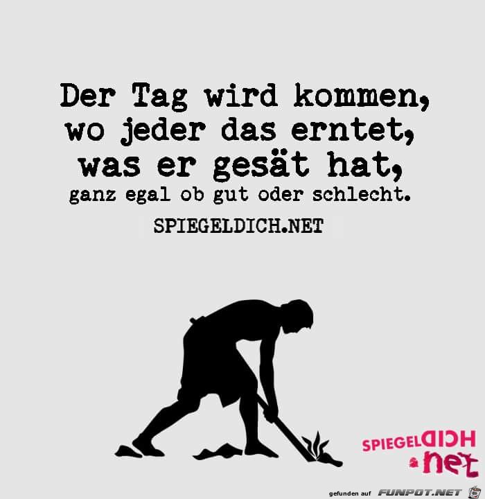 ernten ernten