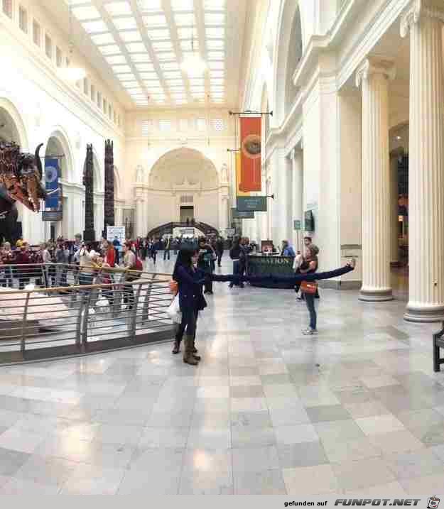 23-panorama-fails-5 23-panorama-fails-5