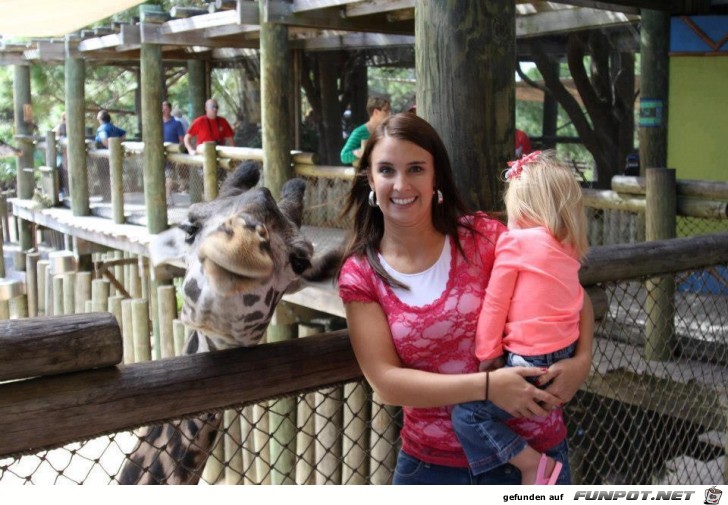 Fotogiraffe Fotogiraffe