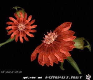 image018 image018